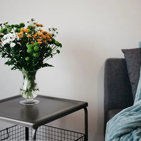 Nocosfera Serbinow Apartment Kalisz (Greater Poland)