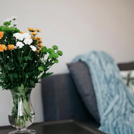 Nocosfera Serbinow Apartment *