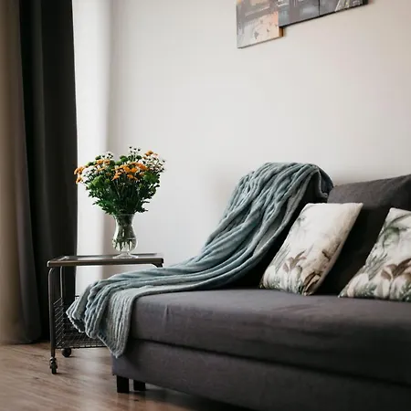 Daire Nocosfera Serbinow