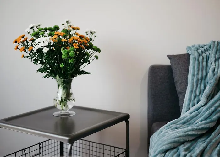 Nocosfera Serbinow Daire Kaliszki