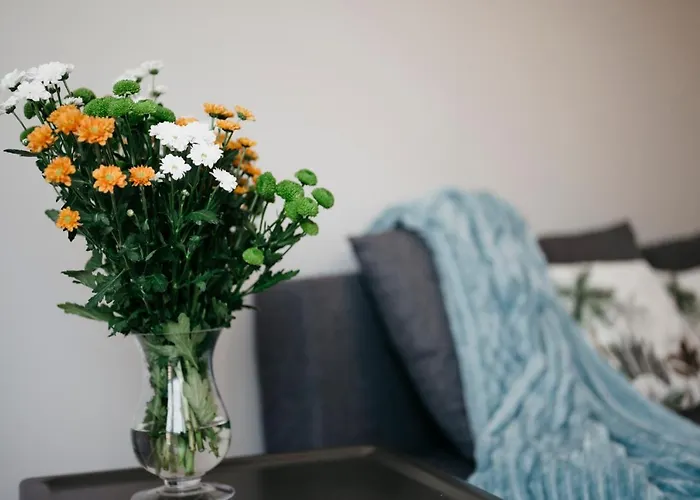 Nocosfera Serbinow Daire *