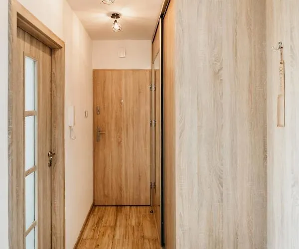 Nocosfera Serbinow Калиш